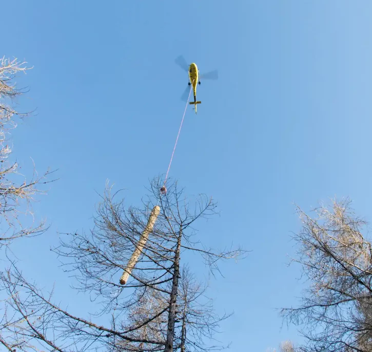 Hélicoptère transportant un tronc d'arbre.